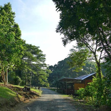 Sepilok B&B Exterior foto